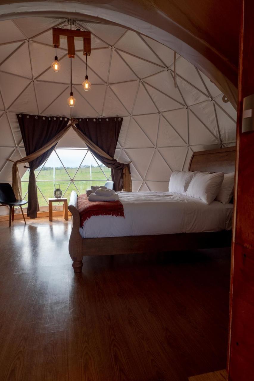 فيلا Garden Domes بويرتو ناتالز المظهر الخارجي الصورة