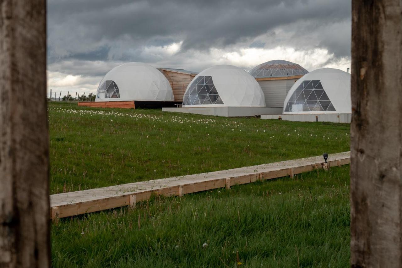 فيلا Garden Domes بويرتو ناتالز المظهر الخارجي الصورة