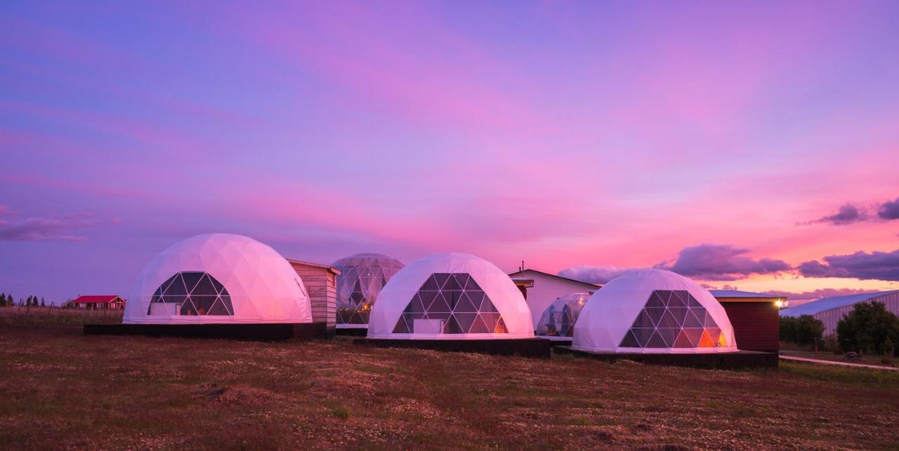 فيلا Garden Domes بويرتو ناتالز المظهر الخارجي الصورة