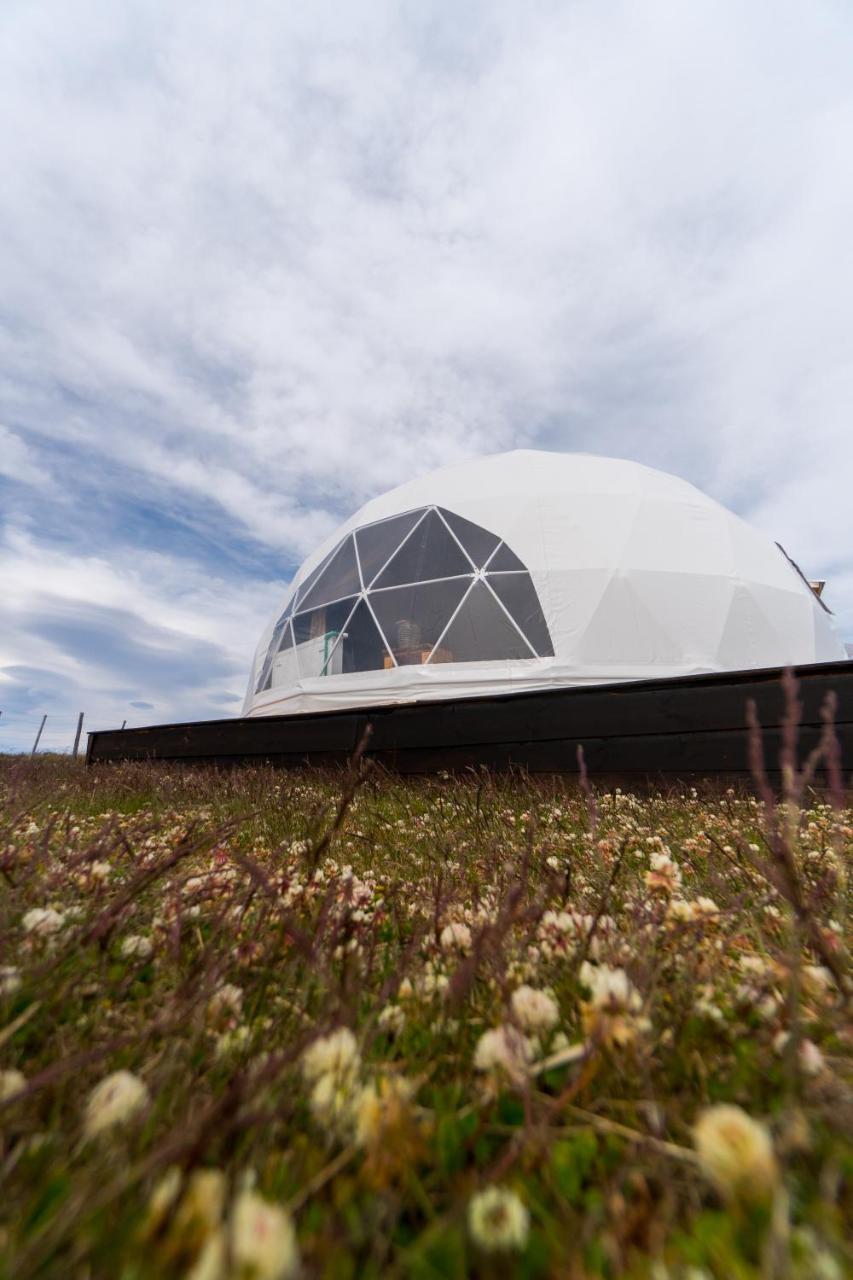 فيلا Garden Domes بويرتو ناتالز المظهر الخارجي الصورة
